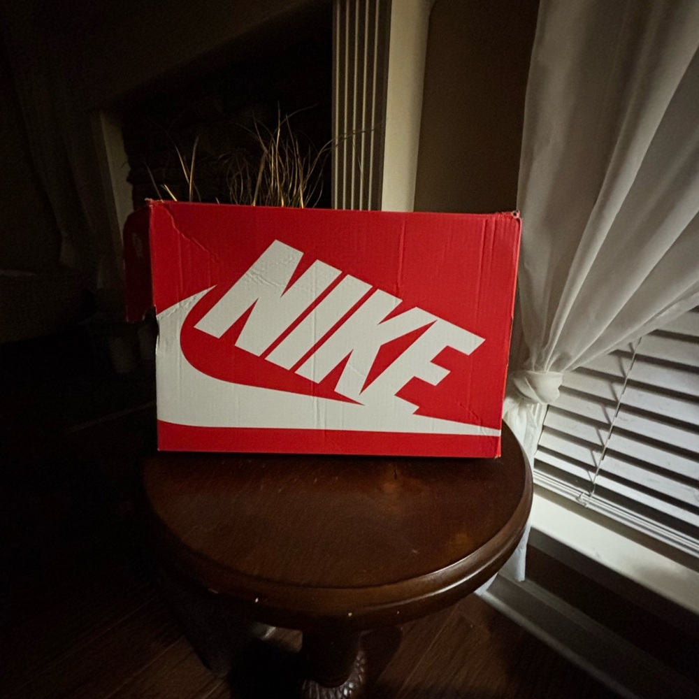 Blue and white Nike dunks without box